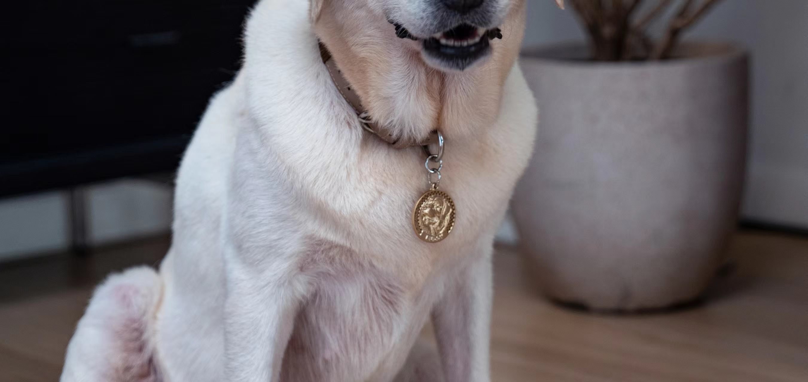 Buddy's brass ID badge