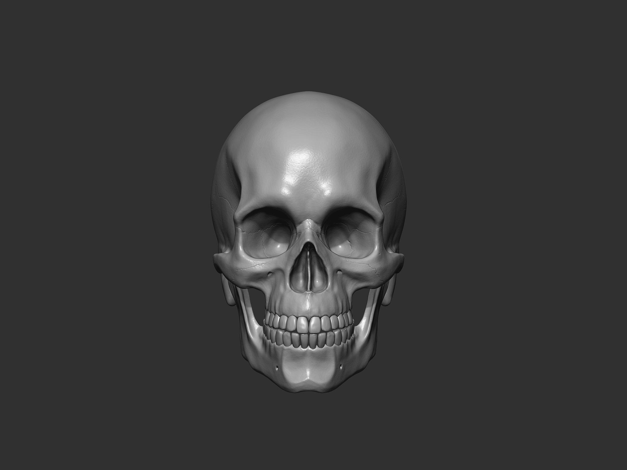 Model preview 2