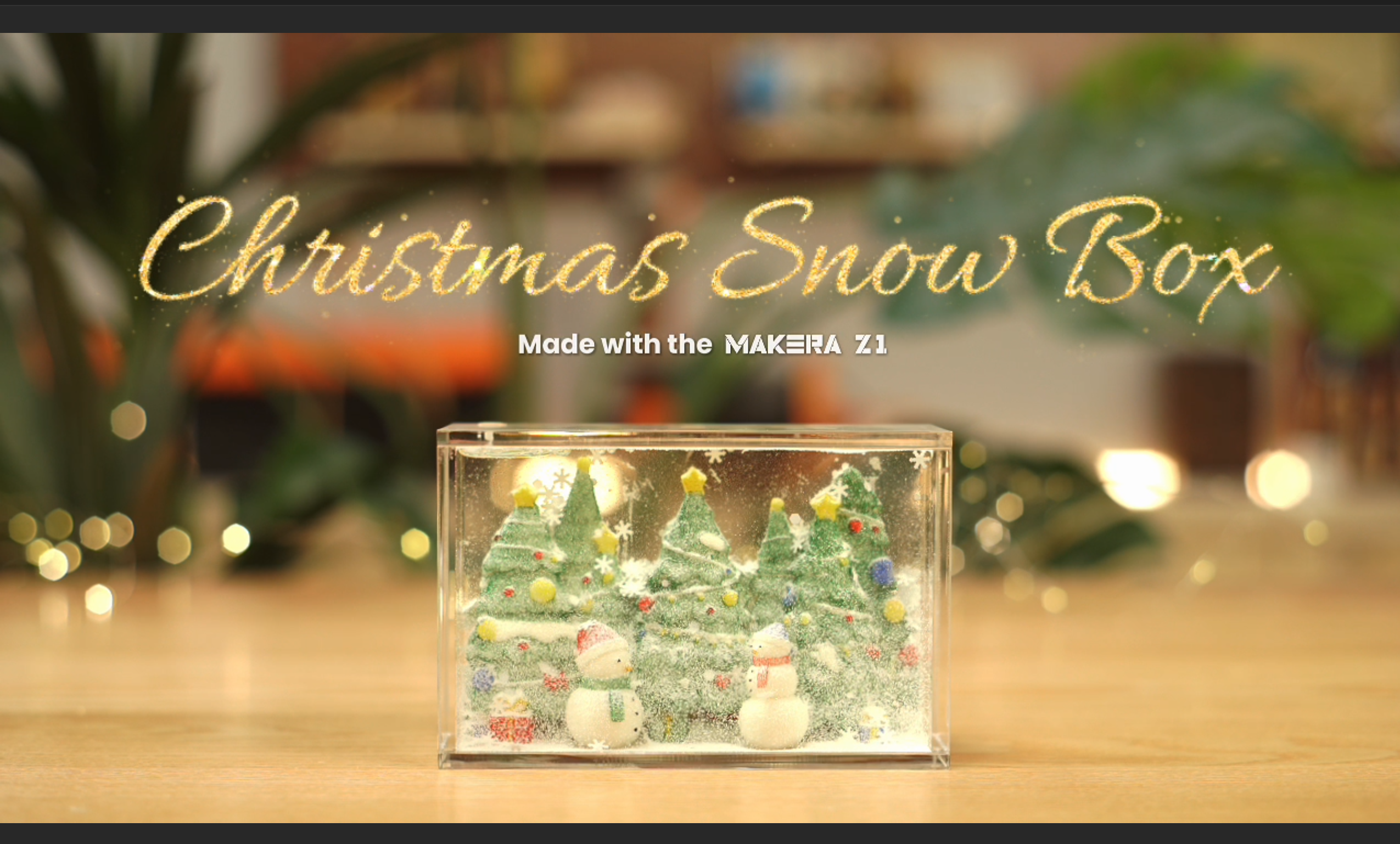 Christmas Snow Globe